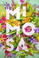 Mimosa Run May 12 2018