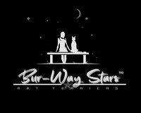 Bur-Way Stars Rat Terriers Kennel Logo 2022